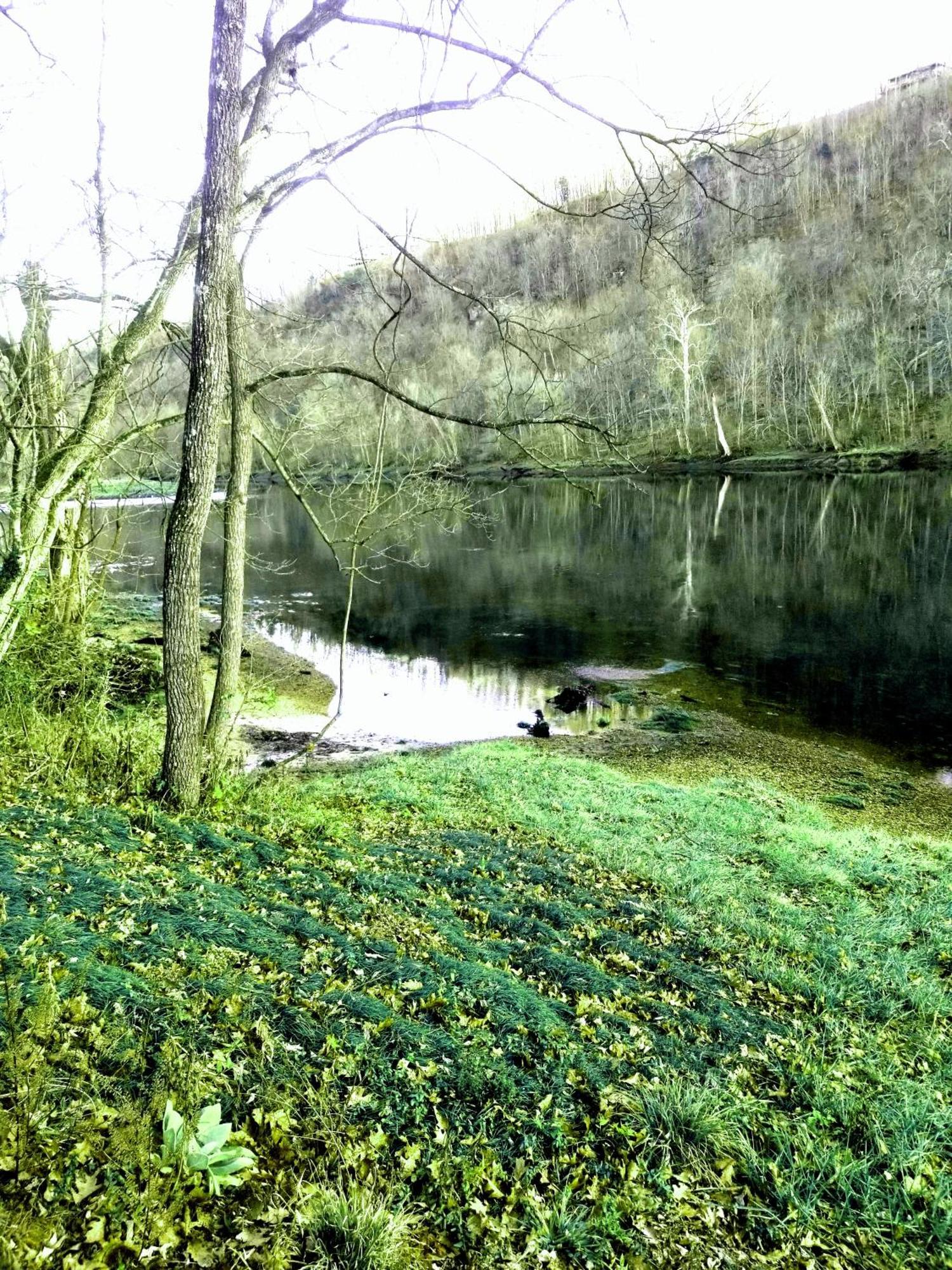 White River Resort Rv Rentals Lakeview Buitenkant foto